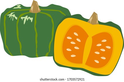 Pumpkin vector illustration, fresh vegetables