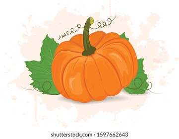 pumpkin vector illustration with green leaves