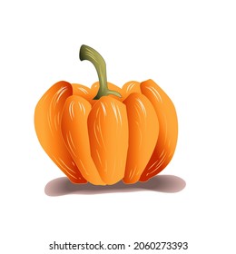 Pumpkin Vector Illustration and Halloween Decoration