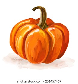 Pumpkin vector illustration  hand drawn  painted watercolor 