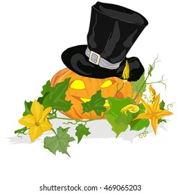 Pumpkin vector illustration isolated