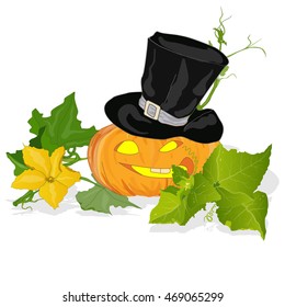 Pumpkin vector illustration isolated