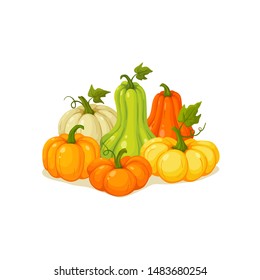 Pumpkin vector illustration isolated on white background in cartoon style. Fresh ripe colorful  pumpkin composition.