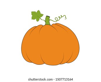 Pumpkin, Vector illustration isolated on white background
