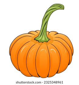 Pumpkin vector illustration isolated on white background