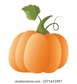 Ilustración vectorial de calabaza aislada en fondo blanco