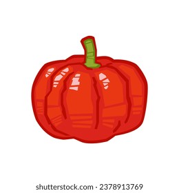 Pumpkin vector illustration, isolated on white