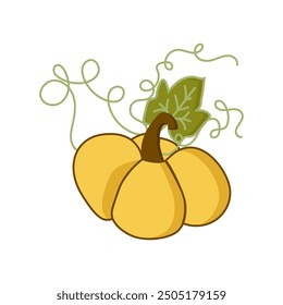 Kürbis, Vektorgrafik einzeln auf weißem Hintergrund. Ernte, Thanksgiving-Symbol. Handgezeichnetes Design