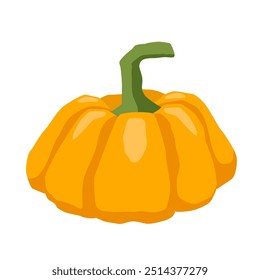 Pumpkin. Vector illustration isolated on white background.