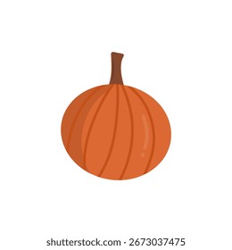 Pumpkin vector illustration isolated on white background. Autumn  fall pumpkin clip art