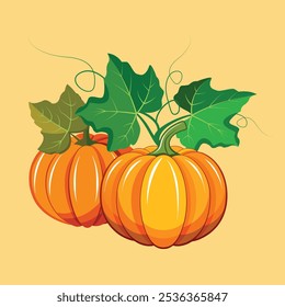 Pumpkin vector illustration with pumpkin leaves