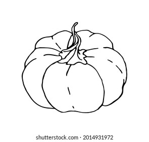 Pumpkin. Vector illustration, line graphics. 