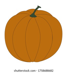 Pumpkin vector illustration on white background. Pumpkin for Halloween or Thanksgiving