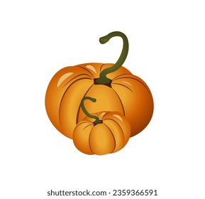 Pumpkin vector illustration on white background