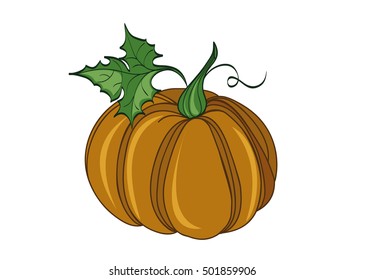 Pumpkin . Vector illustration on white background