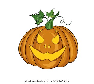 Pumpkin . Vector illustration on white background
