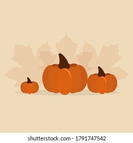 Pumpkin. Vector illustration of orange pumpkins vegetable isolated on  background 