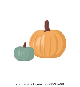 Pumpkin vector illustration. Realistic illustration of two squash vegetables. Autumn harvest, Thanksgiving, Halloween concepts.