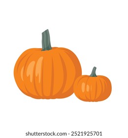 Pumpkin vector illustration. Realistic illustration of two squash vegetables. Autumn harvest, Thanksgiving, Halloween concepts.