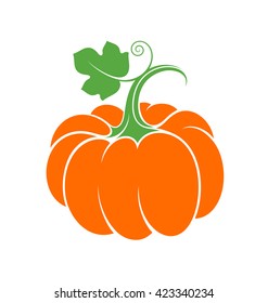 Pumpkin. Vector illustration. Ripe pumpkin with leaf on white background. 