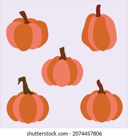 Pumpkin  Vector Illustration Set Autumn
