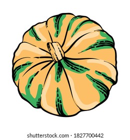 Pumpkin vector illustration. Vegetable engraving of a isolated pumpkin. Detailed vegetarian food. Farm market product. Linear art of healthy organic vegetable in cartoon style. Ink drawing. Doodle pumpkin