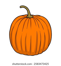 pumpkin vector illustration,isolated on white background,top view