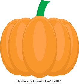 Pumpkin vector ilustration can be used for business