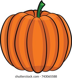 Pumpkin vector image