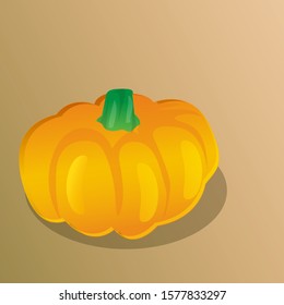 pumpkin vector isolated design, pumpkin cartoon style design.
