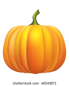 Pumpkin .Vector on white.