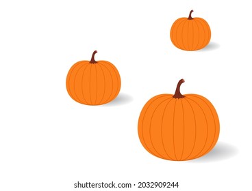 Pumpkin vector. Pumpkin on white background.