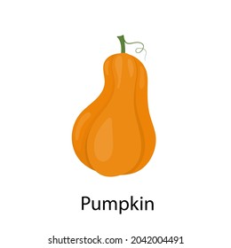Vector de calabaza. Calabaza anaranjada aislada sobre un fondo blanco con la inscripción Calabaza.