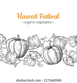 Pumpkin vector seamless pattern. Hand drawn vintage border. Harvest festival illustration. Farm Market sketch poster. Vegetable set of organic products. Detailed food drawing. Great for menu, banner, 