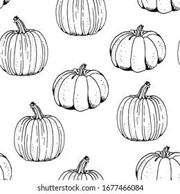 Pumpkin vector seamless pattern, hand drawn squash sketch isolated on white background