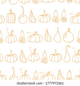 Pumpkin vector seamless pattern. Thanksgiving seamless background. Autumn illustration for thanks giving day. For street festival, farmers market, country fair, shop, menu, cafe, restaurant