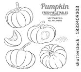 pumpkin vector set on white background