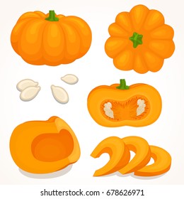 Pumpkin vector. A set of whole, half and sliced pumpkin in various styles.