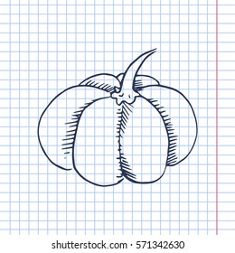 pumpkin vector sketch