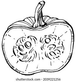 Pumpkin vector sketch hand drawn. Isolated object with engraved style illustration. Detailed vegetarian food. Farm market product. The best for design logo, menu, label, icon, stamp.