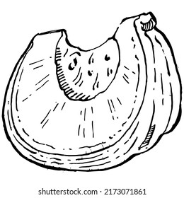 Pumpkin vector sketch hand drawn. Isolated object with engraved style illustration. Detailed vegetarian food. Farm market product. The best for design logo, menu, label, icon, stamp.