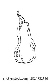 Vector de calabaza. Acción de Gracias y Elemento de Halloween. Ilustración para tarjetas, carteles, pegatinas y diseño estacional.