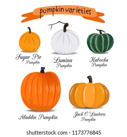 Pumpkin Vector Varieties