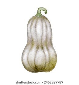 Ilustración de Vector de calabaza
