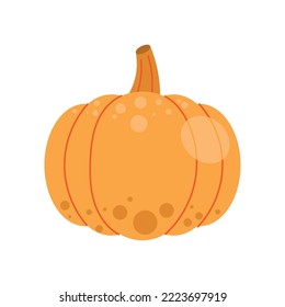 pumpkin vegetable autumn season icon