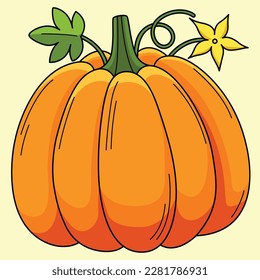 Pumpkin Vegetable Colored Cartoon Illustration