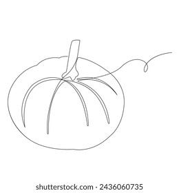 Pumpkin vegetable continuous one line vector art drawing and illustration