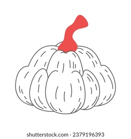 Pumpkin Vegetable Decorated Vector Illustration