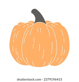 Pumpkin Vegetable Decorated Vector Illustration