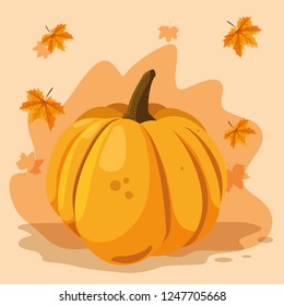 Pumpkin vegetable design